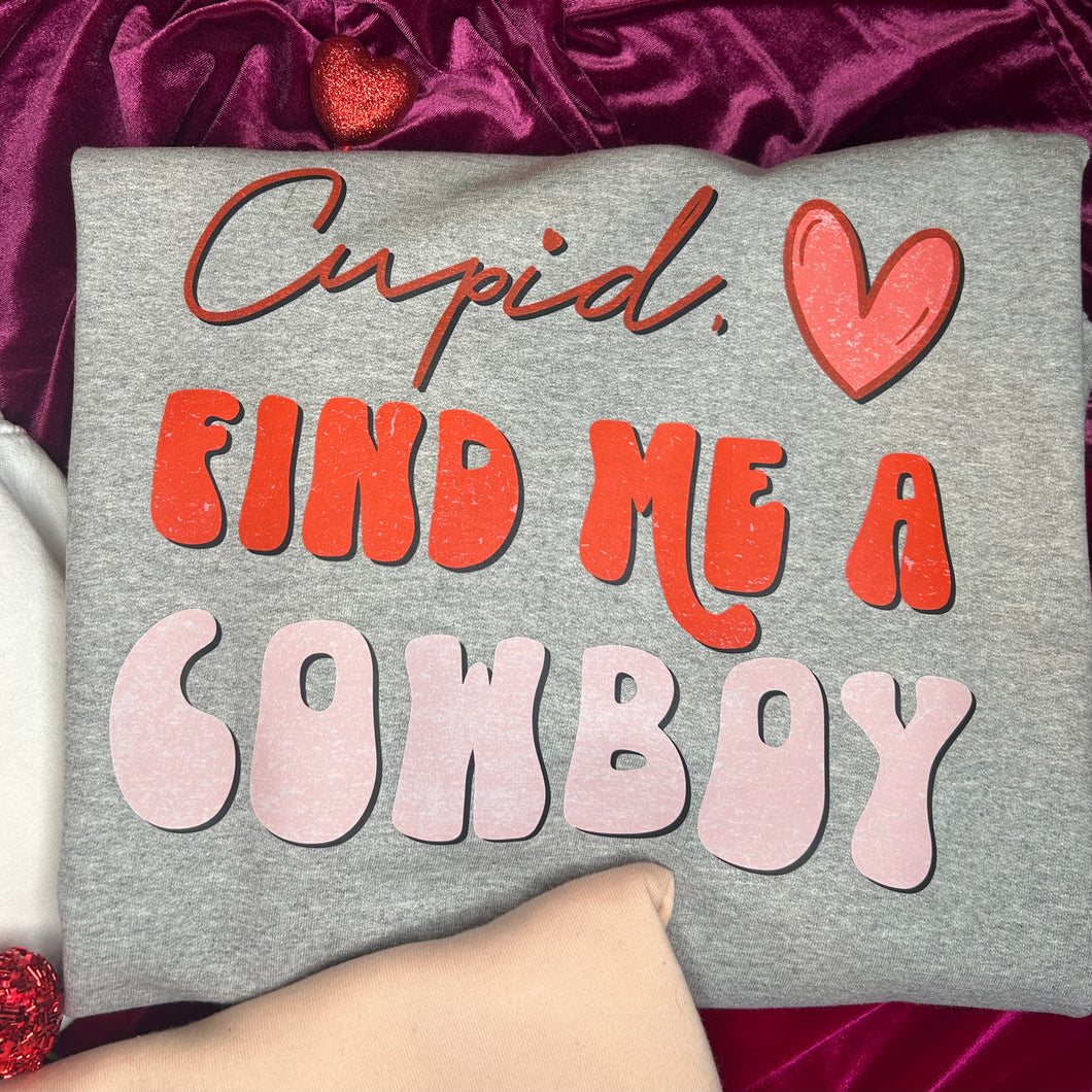 FIND ME A COWBOY