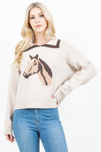 Load image into Gallery viewer, Horse Collar Sweater
